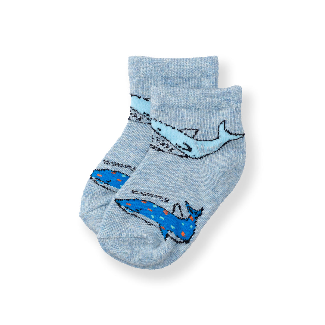 Poney Baby Boys Blue Cute Graphic Socks 2107AB