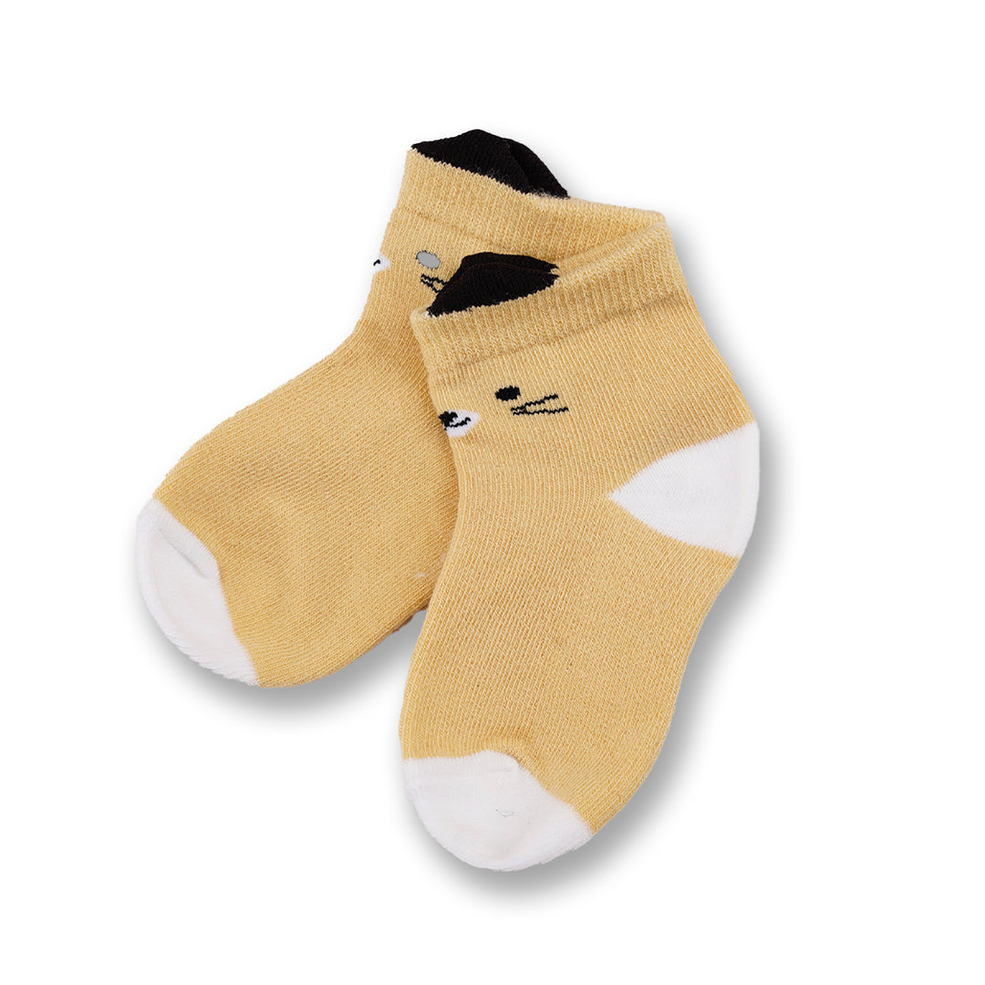 Poney Baby Boys Comfortable Socks Assorted Colours