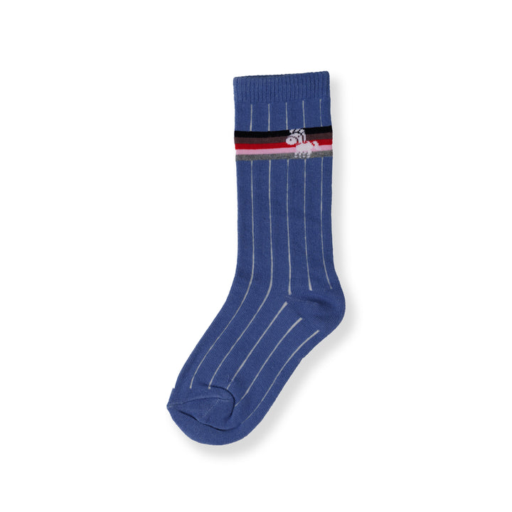 Poney Boy Blue Socks 130-2854