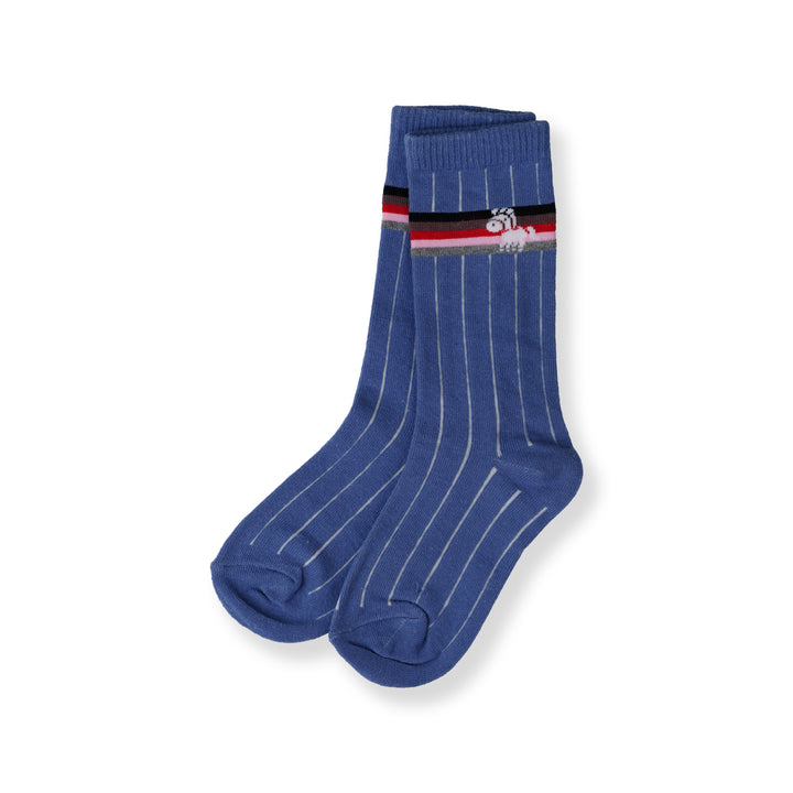 Poney Boy Blue Socks 130-2854
