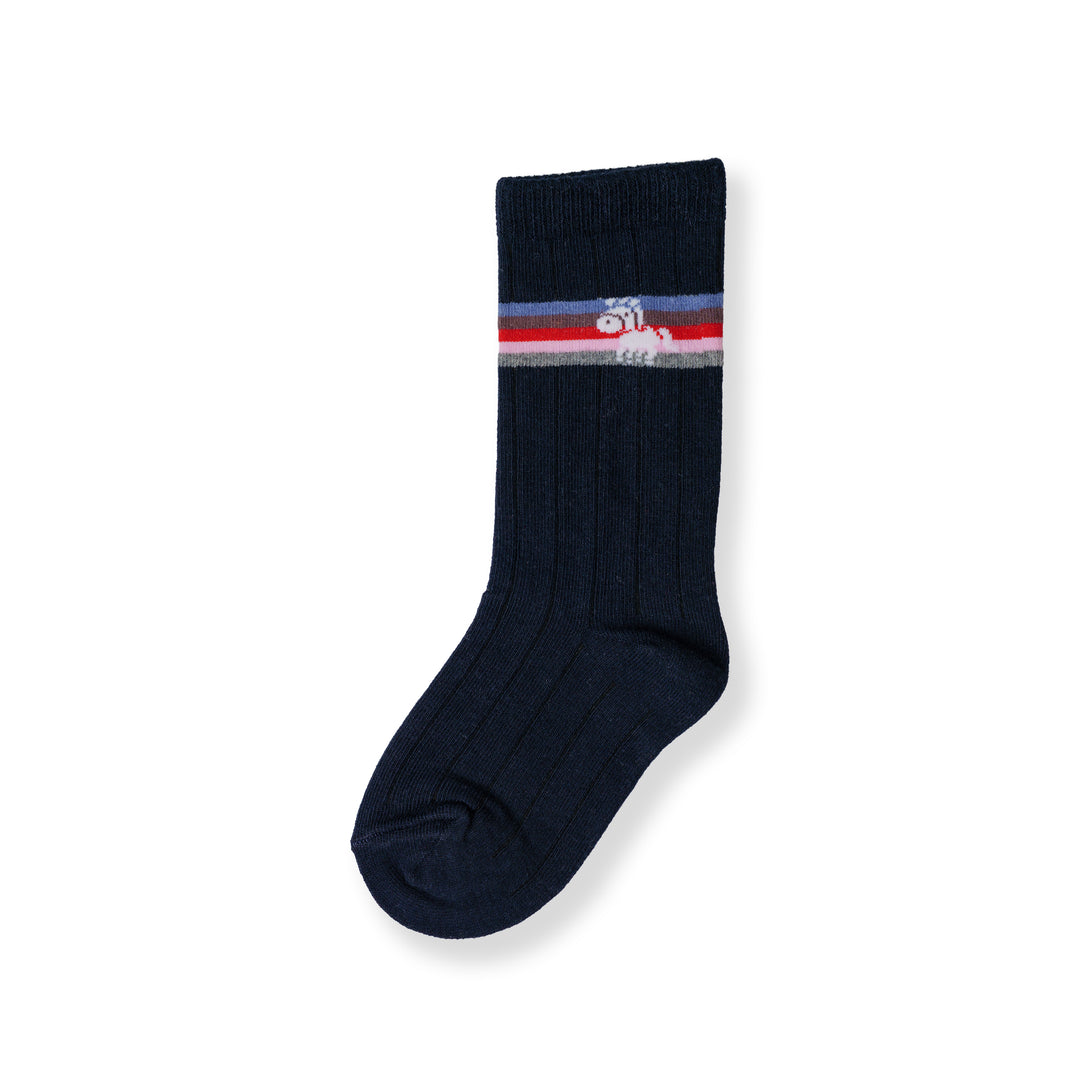 Poney Boy Navy Socks 130-2854