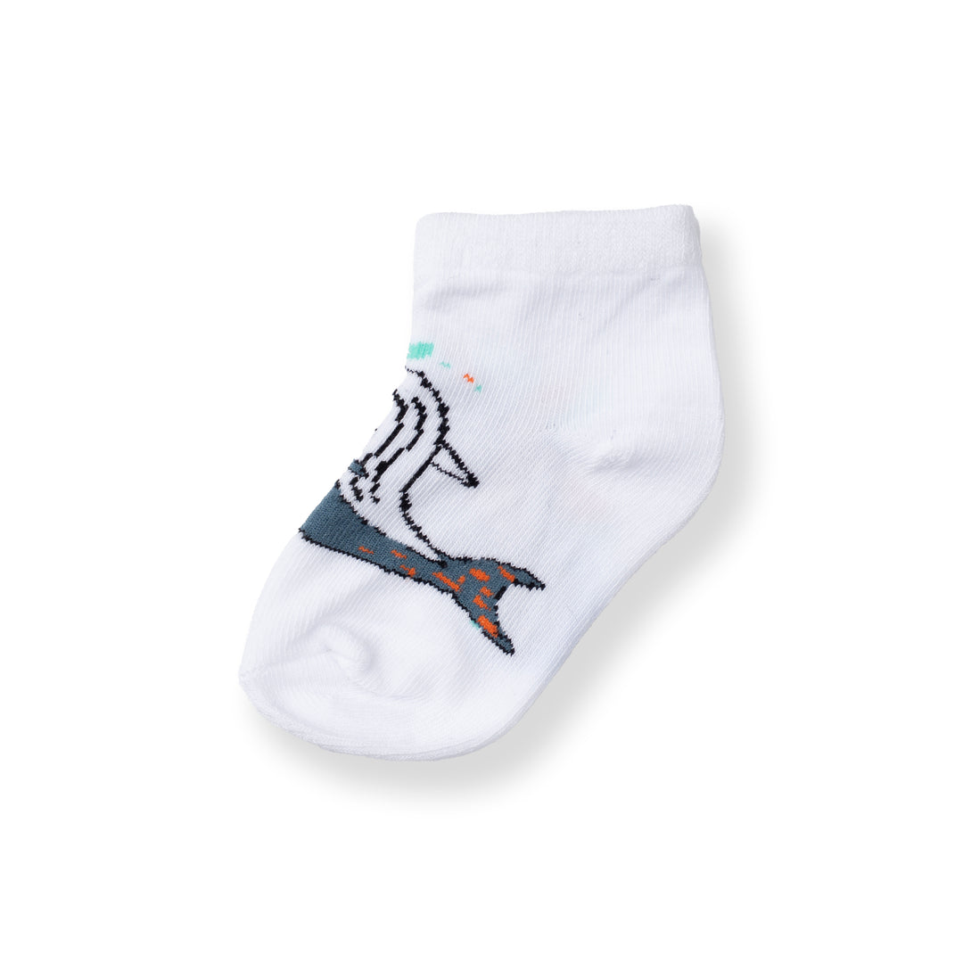 [NEW] Poney Baby Boys White Cute Graphic Socks 2108AB