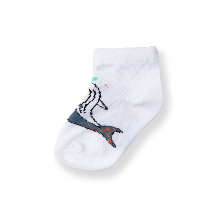 [NEW] Poney Baby Boys White Cute Graphic Socks 2108AB