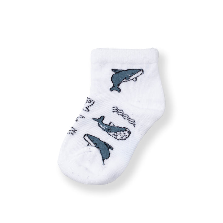 [NEW] Poney Baby Boys White Ocean Socks 2109AB