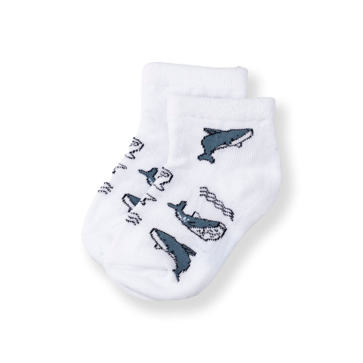 [NEW] Poney Baby Boys White Ocean Socks 2109AB