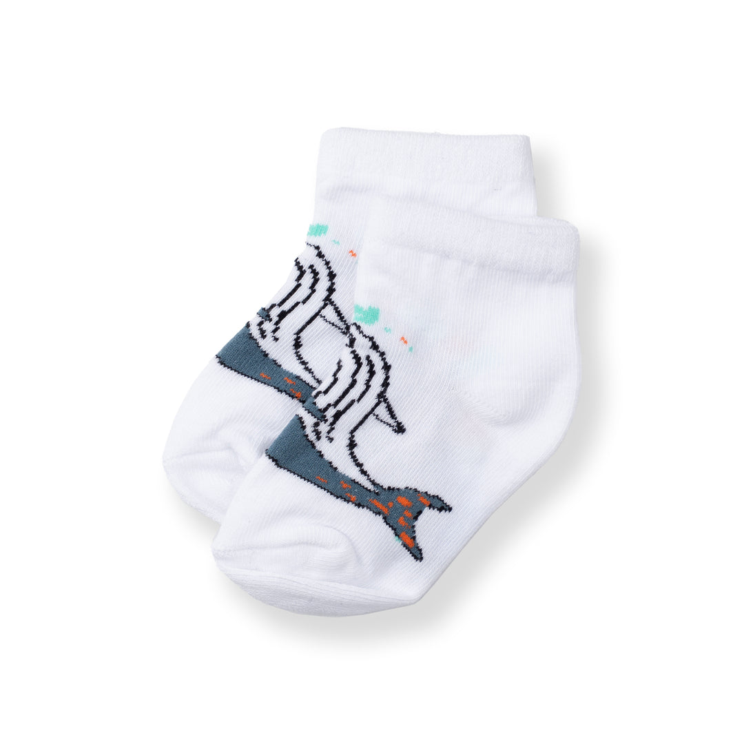 [NEW] Poney Baby Boys White Cute Graphic Socks 2108AB