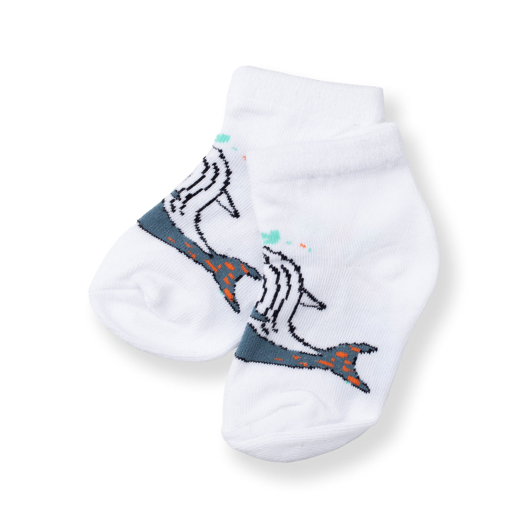 [NEW] Poney Baby Boys White Cute Graphic Socks 2108AB