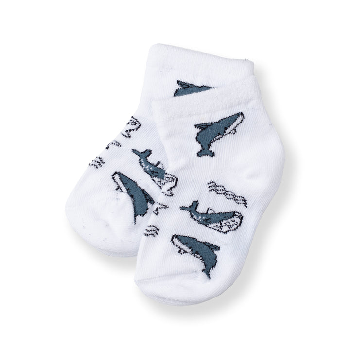 [NEW] Poney Baby Boys White Ocean Socks 2109AB