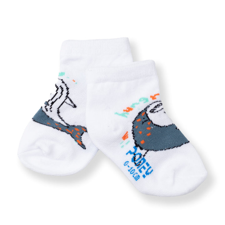 [NEW] Poney Baby Boys White Cute Graphic Socks 2108AB