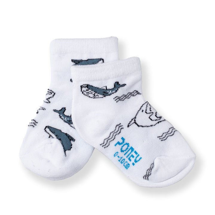 [NEW] Poney Baby Boys White Ocean Socks 2109AB