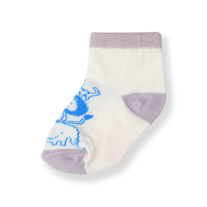 Poney Baby Boys White Socks 2111AB