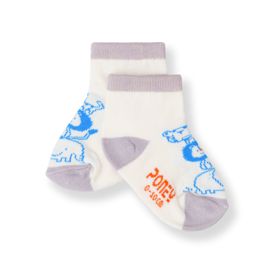 Poney Baby Boys White Socks 2111AB