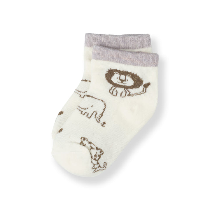 Poney Baby Boys White Socks 2112AB