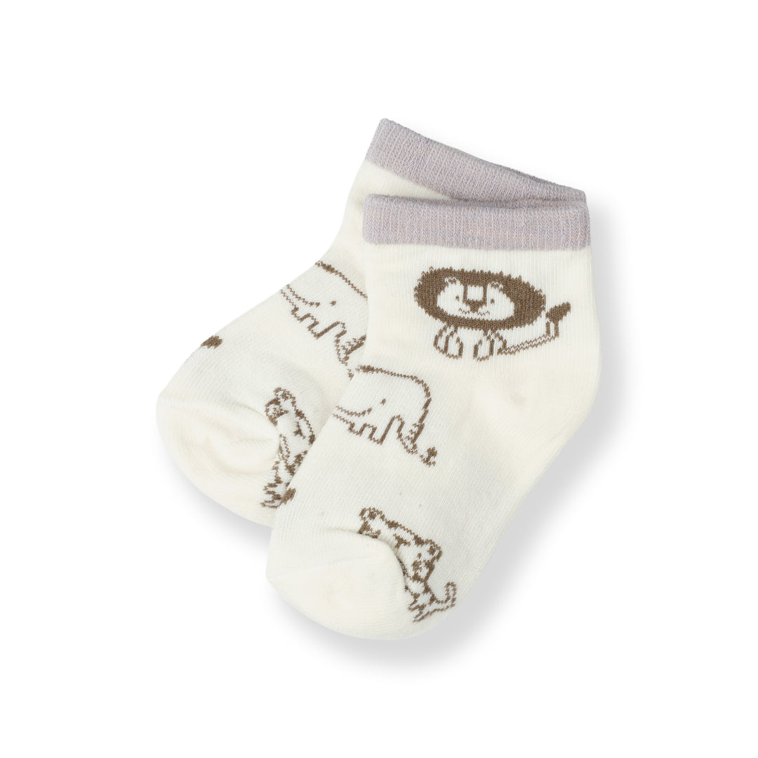 Poney Baby Boys White Socks 2112AB