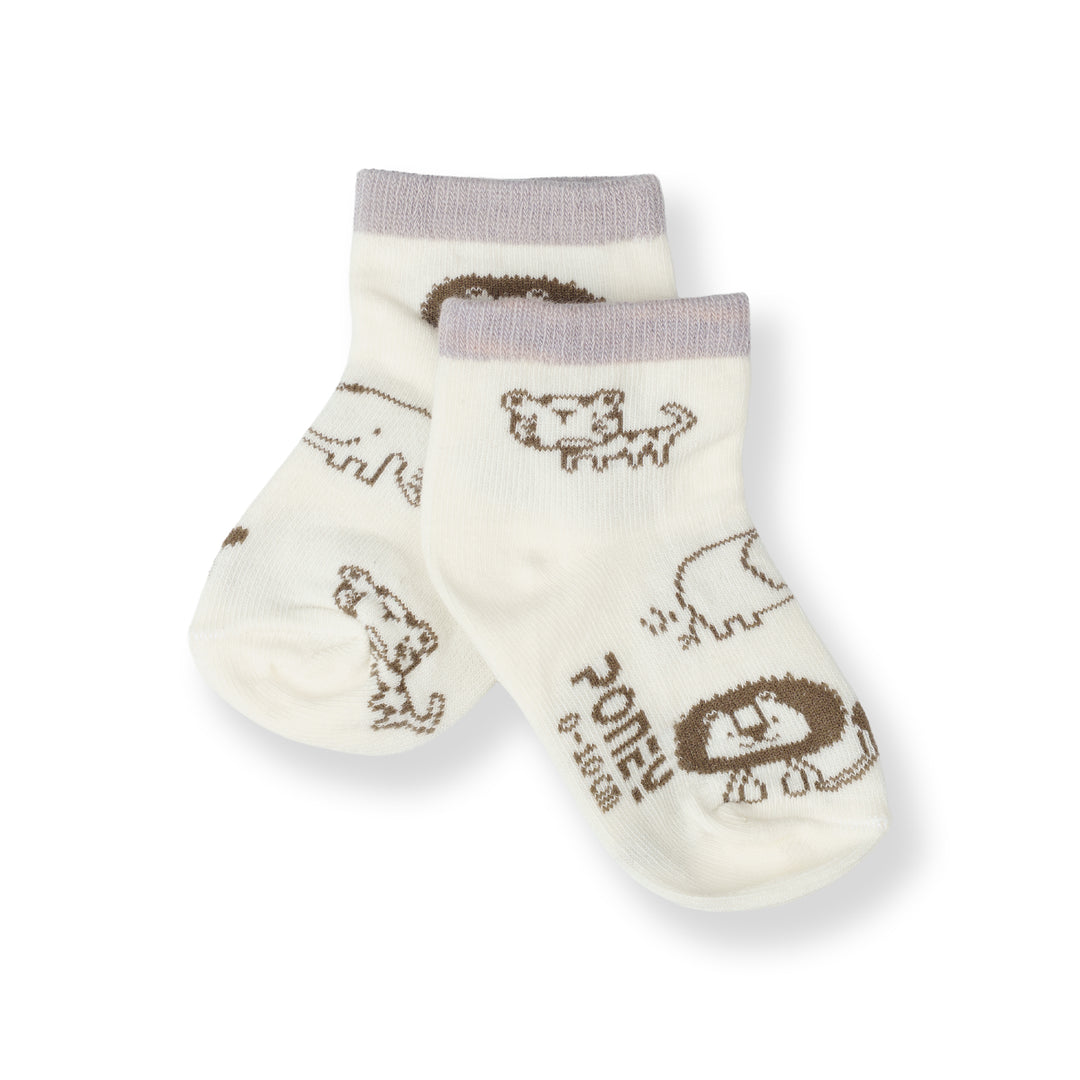 Poney Baby Boys White Socks 2112AB