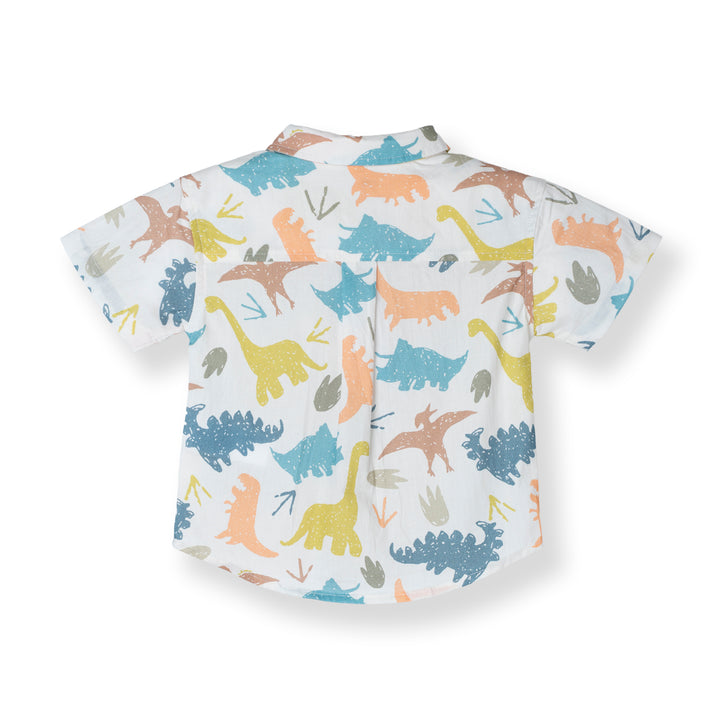 Dino Dazzle Loose Fit Short Sleeve Shirt