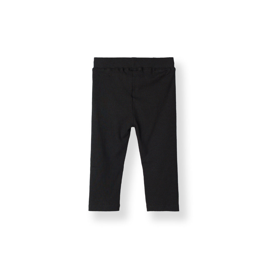 Midnight Black Legging