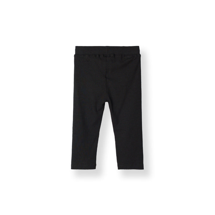 Midnight Black Legging