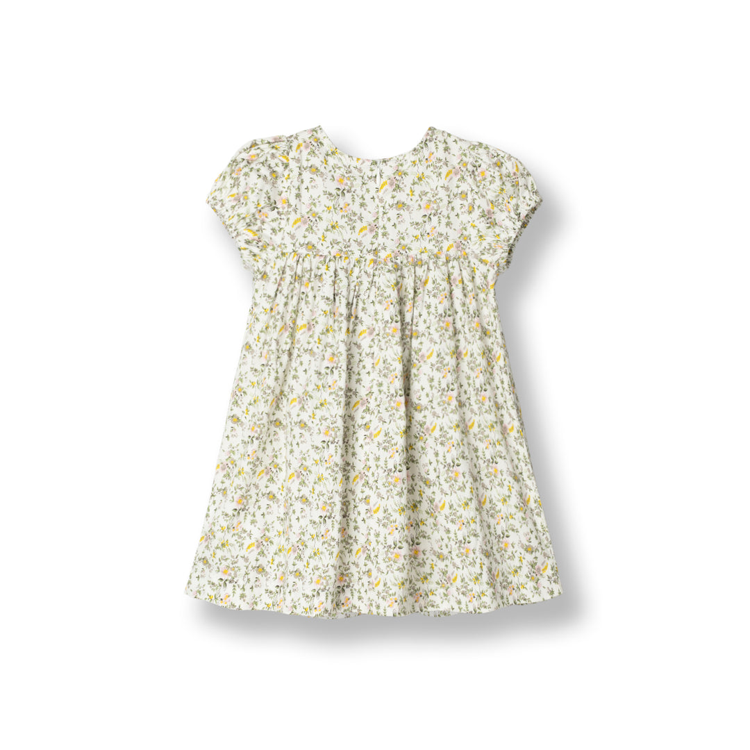 Petite Garden Short Sleeve Dress (2250781WB)