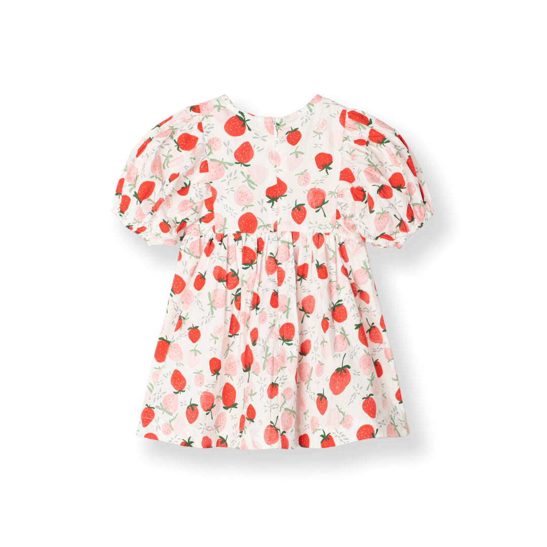Strawberry Kiss Short Sleeve Dress (2250783WB)
