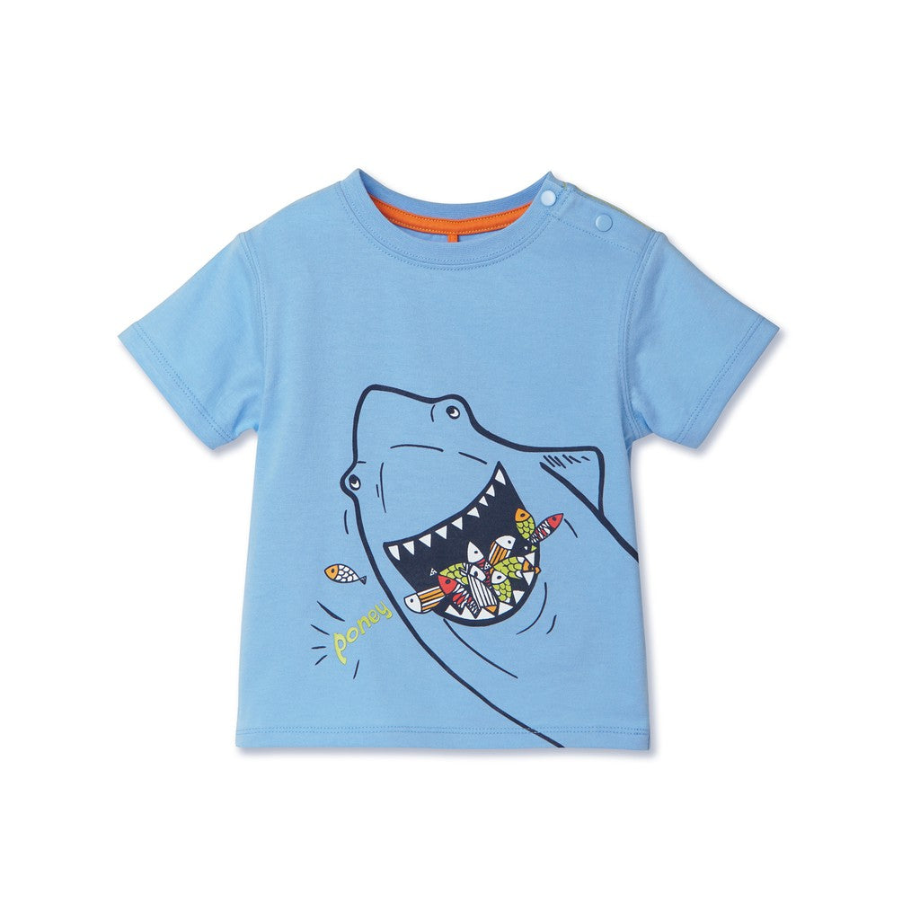 Poney Boy Shark Feeding On Fishes Light Blue Short Sleeve Tee