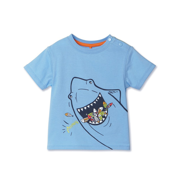 Poney Boy Shark Feeding On Fishes Light Blue Short Sleeve Tee