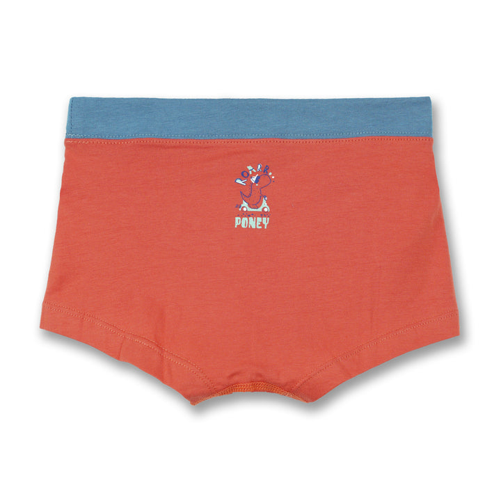 Poney Boys Underwear-Boxer 9220033