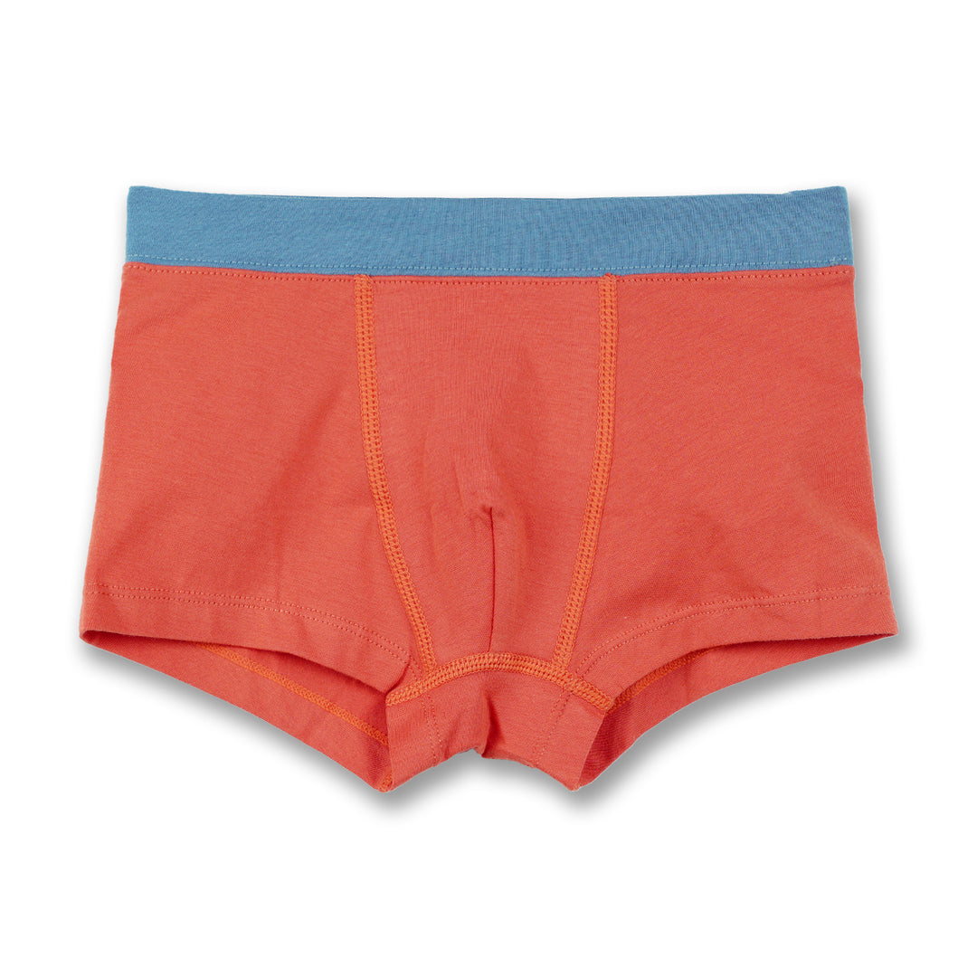 Poney Boys Underwear-Boxer 9220033