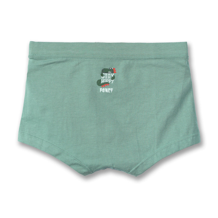 Poney Boys Underwear-Boxer 9220034