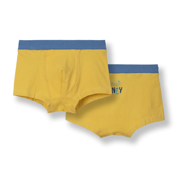 Boys Underwear Boxers 9240019