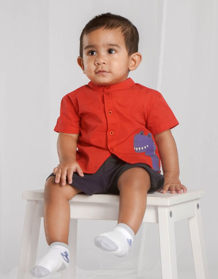 Poplin Dino Print Short Sleeves Top & Bermuda Set