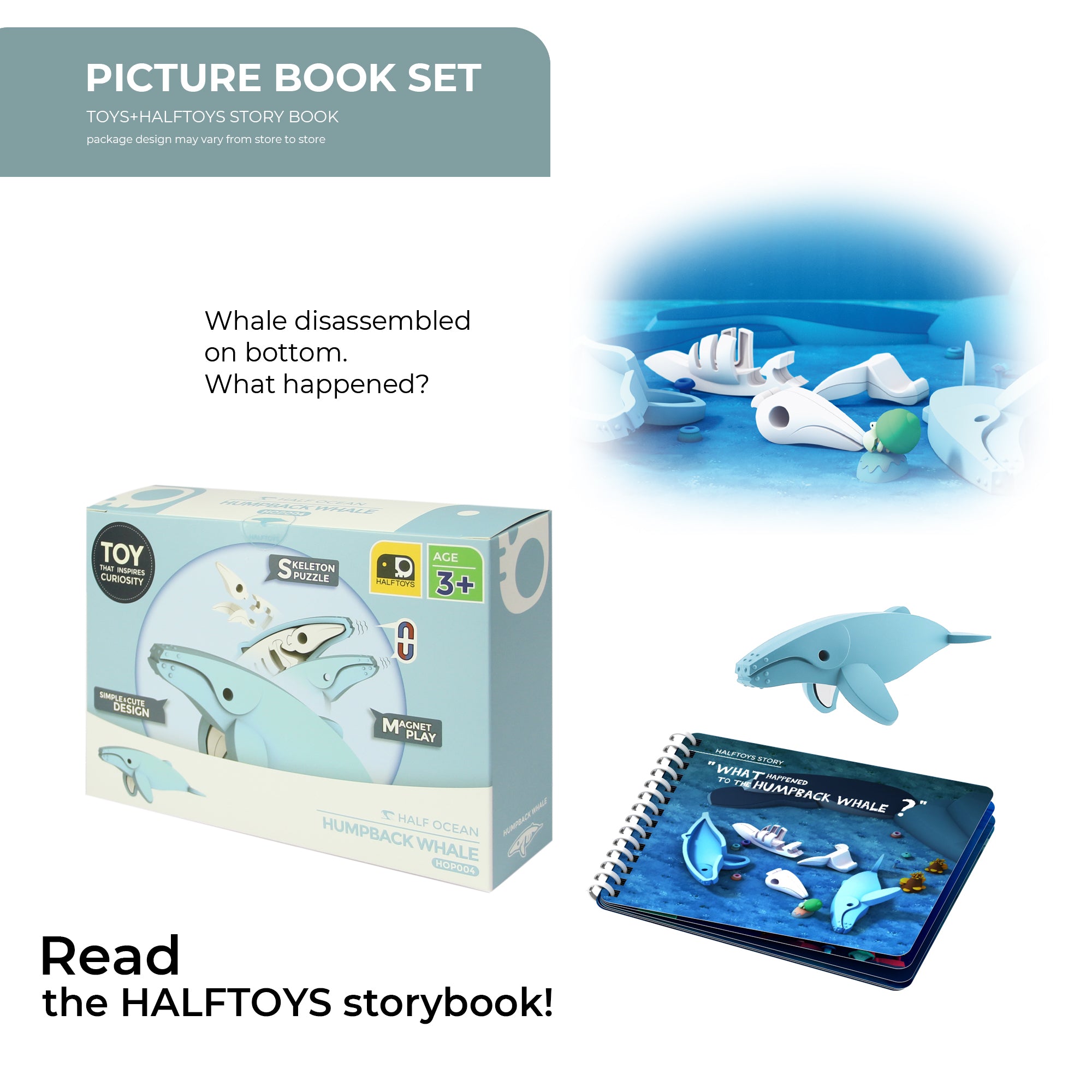 Halftoys Picture Ocean Humpback Whale – Poney Group