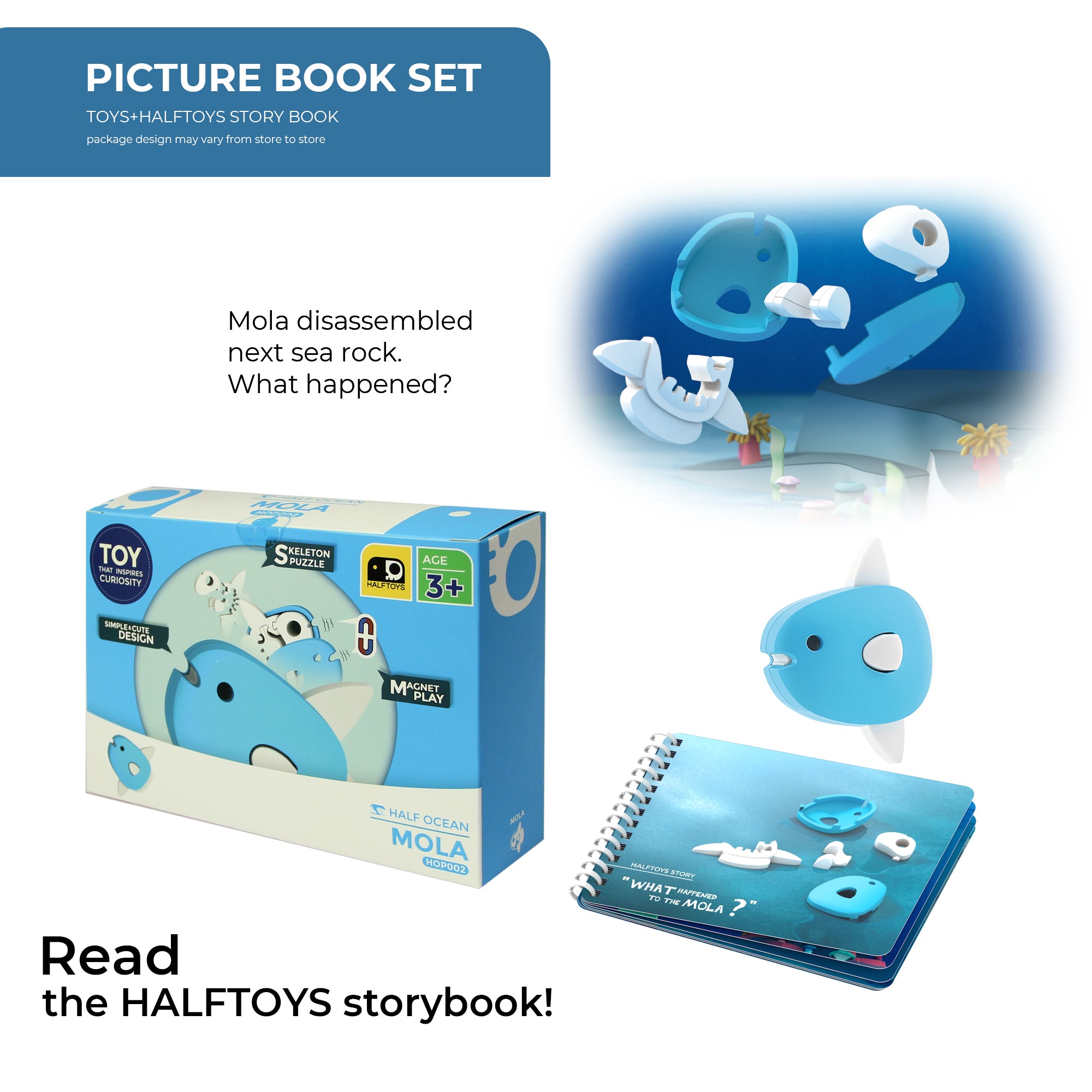 Halftoys Picture Ocean Mola – Poney Group