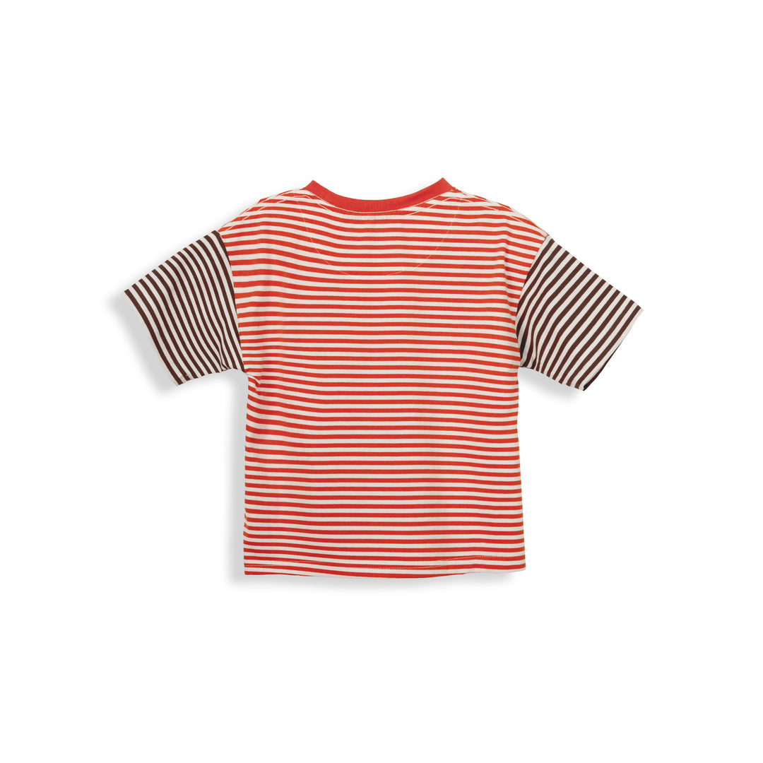 Poney Boys Contrast Colour Striped Round Neck Short Sleeve Tee