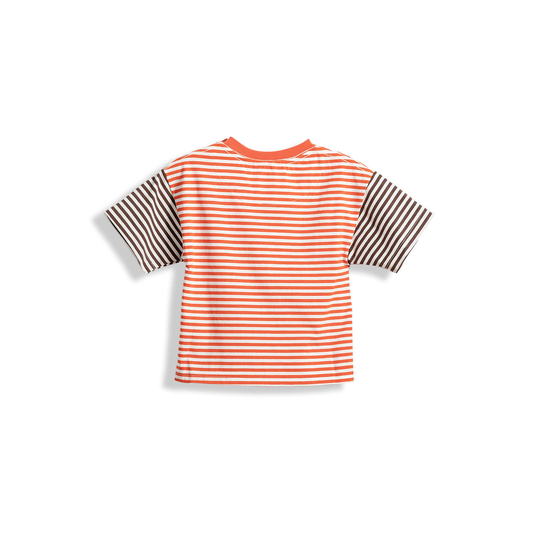 Poney Boys Contrast Colour Striped Round Neck Short Sleeve Tee