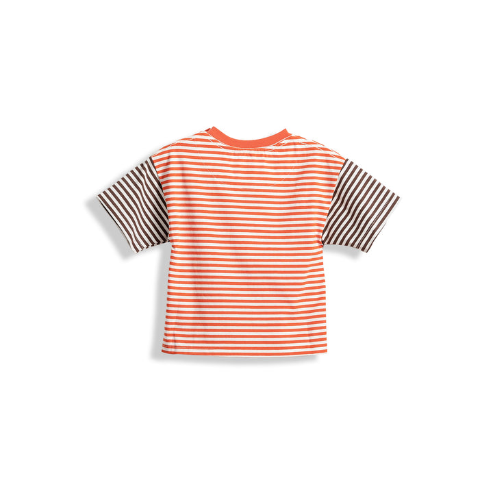 Poney Boys Contrast Colour Striped Round Neck Short Sleeve Tee