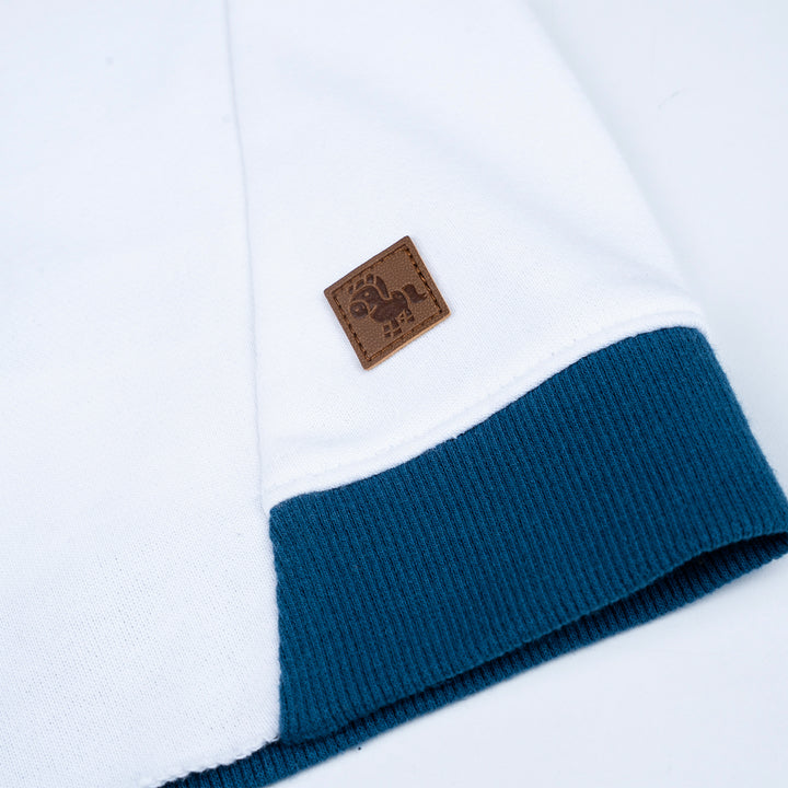 Poney Boys Blue Colour Blocking Raglan Sweatshirt