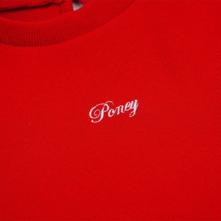 Poney Girls Red Stunning Short Sleeve Dress