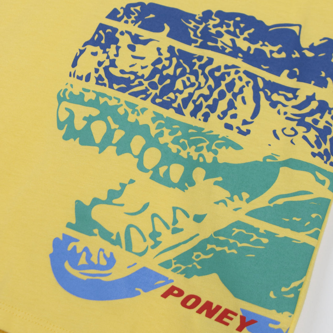 Poney Boys Colour Dinosaur Round Neck Short Sleeve Tee