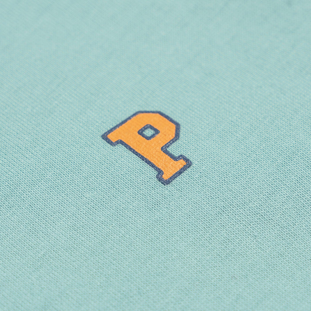 Poney Boys Turquoise Stripe Printed Short Sleeve Tee