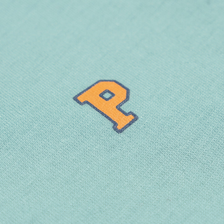 Poney Boys Turquoise Stripe Printed Short Sleeve Tee