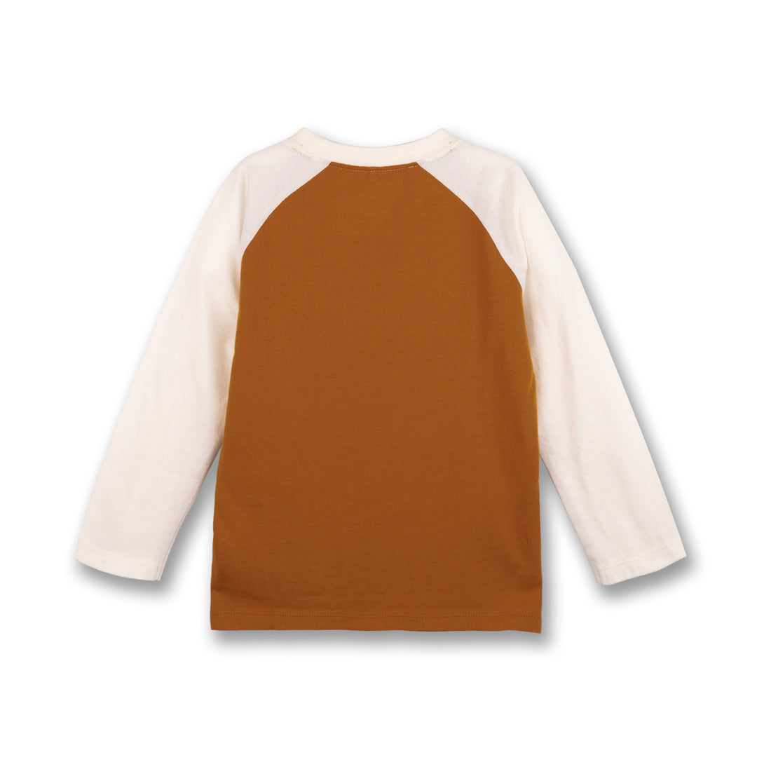 Poney Boys Sudan Brown Dinosaur Long Sleeve Tee