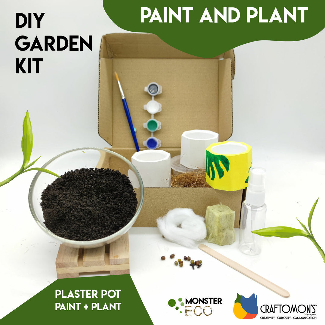 DIY Garden Kit - Plaster Pot (Paint & Plant)