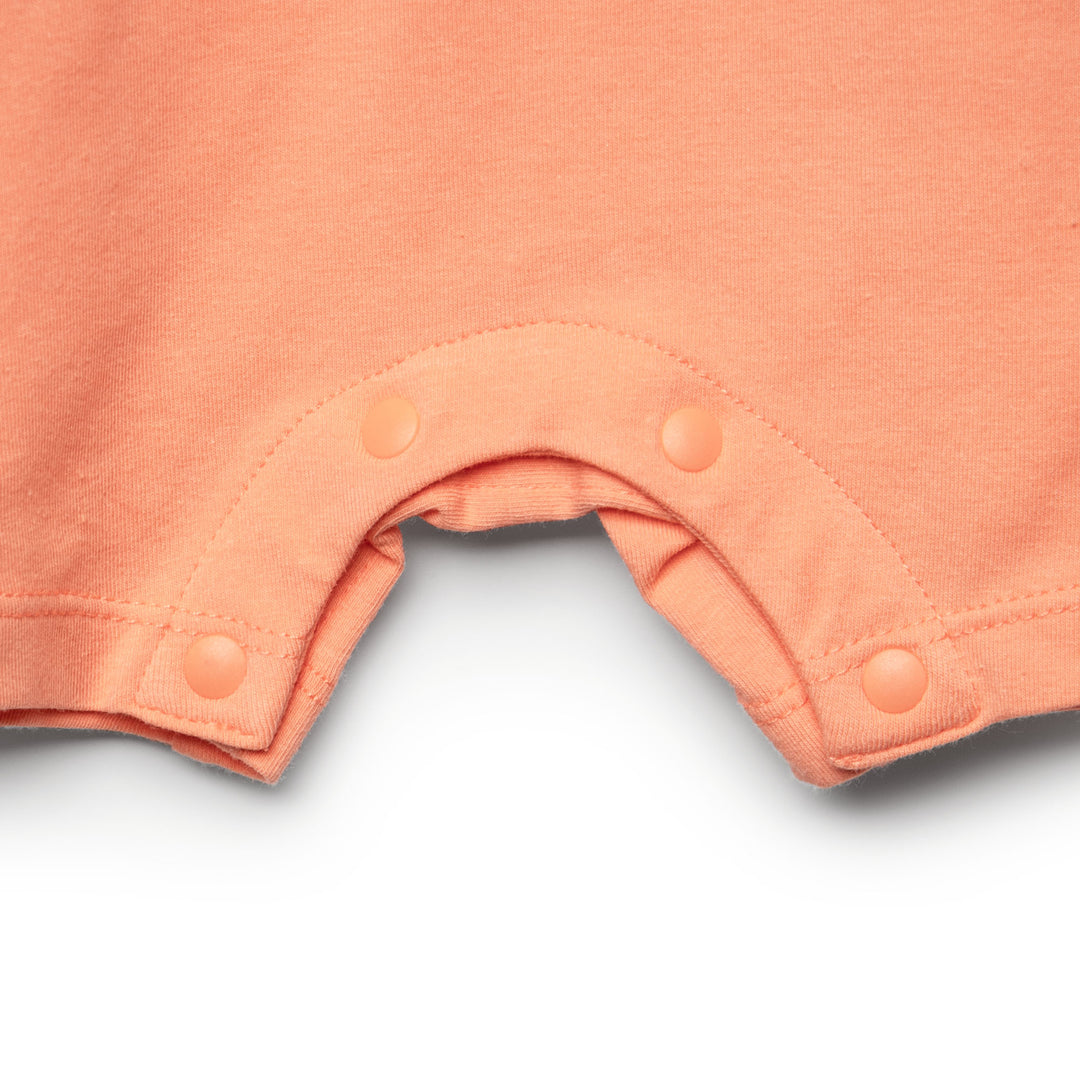 Poney Boys S/Sleeve Romper 80588