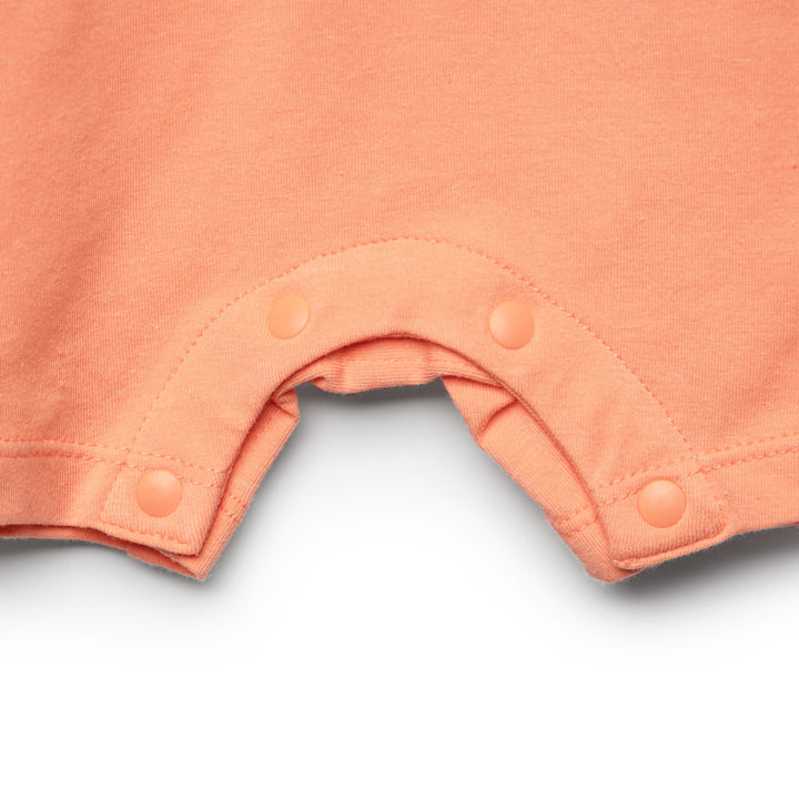 Poney Boys S/Sleeve Romper 80588